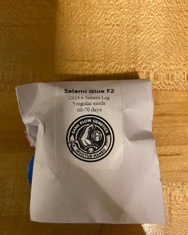 A79B6FFD-E170-4A4C-A3CE-5EEB4B981346