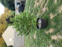 8BE992D8-C133-4F33-A6E0-7AB68256691D