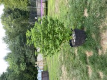 71EEAA64-948F-4D97-A4AC-C91D525444B0