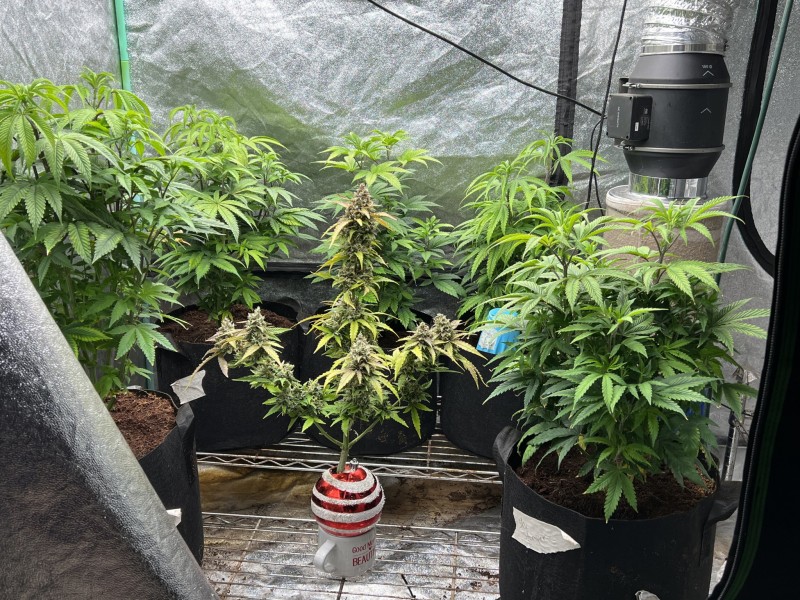 D0E0E5C0-8370-4BC3-A8AB-EB52D7A8EBE8