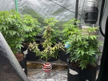 D0E0E5C0-8370-4BC3-A8AB-EB52D7A8EBE8