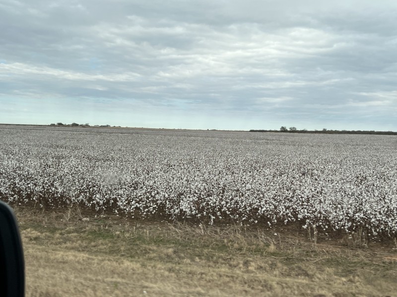 FDF3FD90-1418-48E6-AA1B-C6A552234846