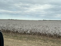 FDF3FD90-1418-48E6-AA1B-C6A552234846