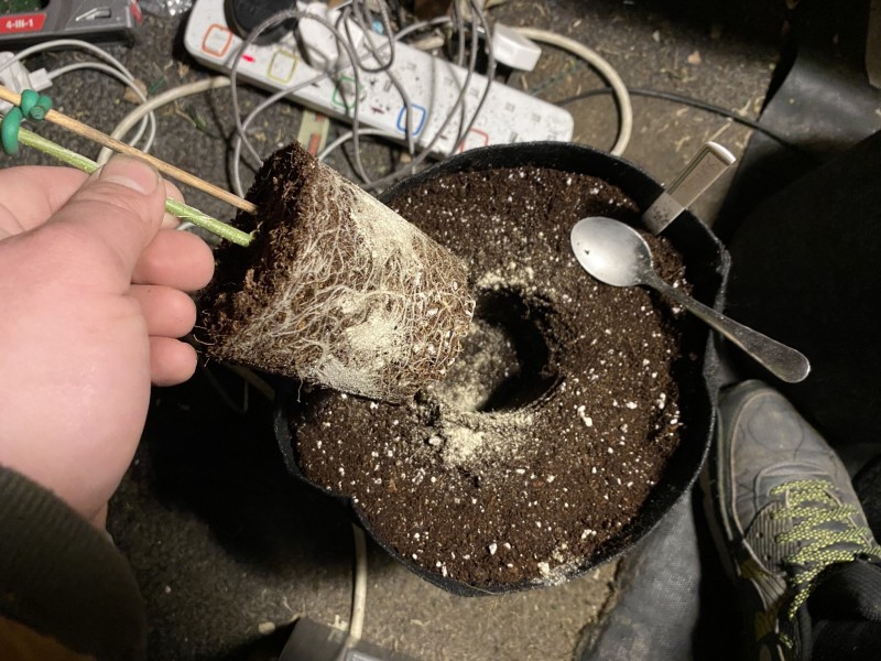 F2A4AEBF-719A-46A3-B91B-D3456B58398F