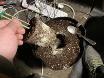 F2A4AEBF-719A-46A3-B91B-D3456B58398F