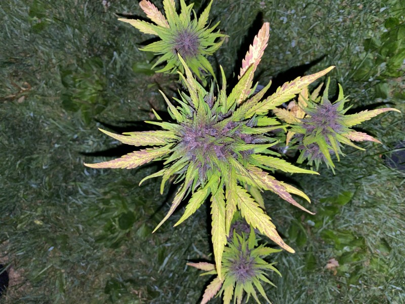 508B70DE-1530-499A-BC0F-5837D865B3FB