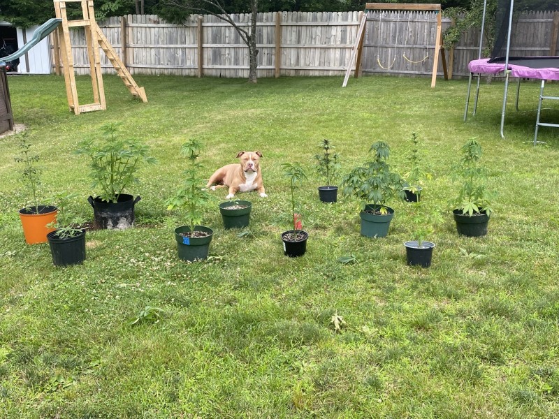 45342939-916D-460F-BCD8-A759309F5C78