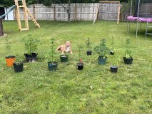 45342939-916D-460F-BCD8-A759309F5C78