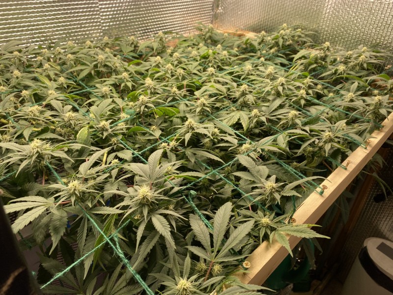 6EBF4A65-6D75-474B-9E74-C80E4EB4CA04