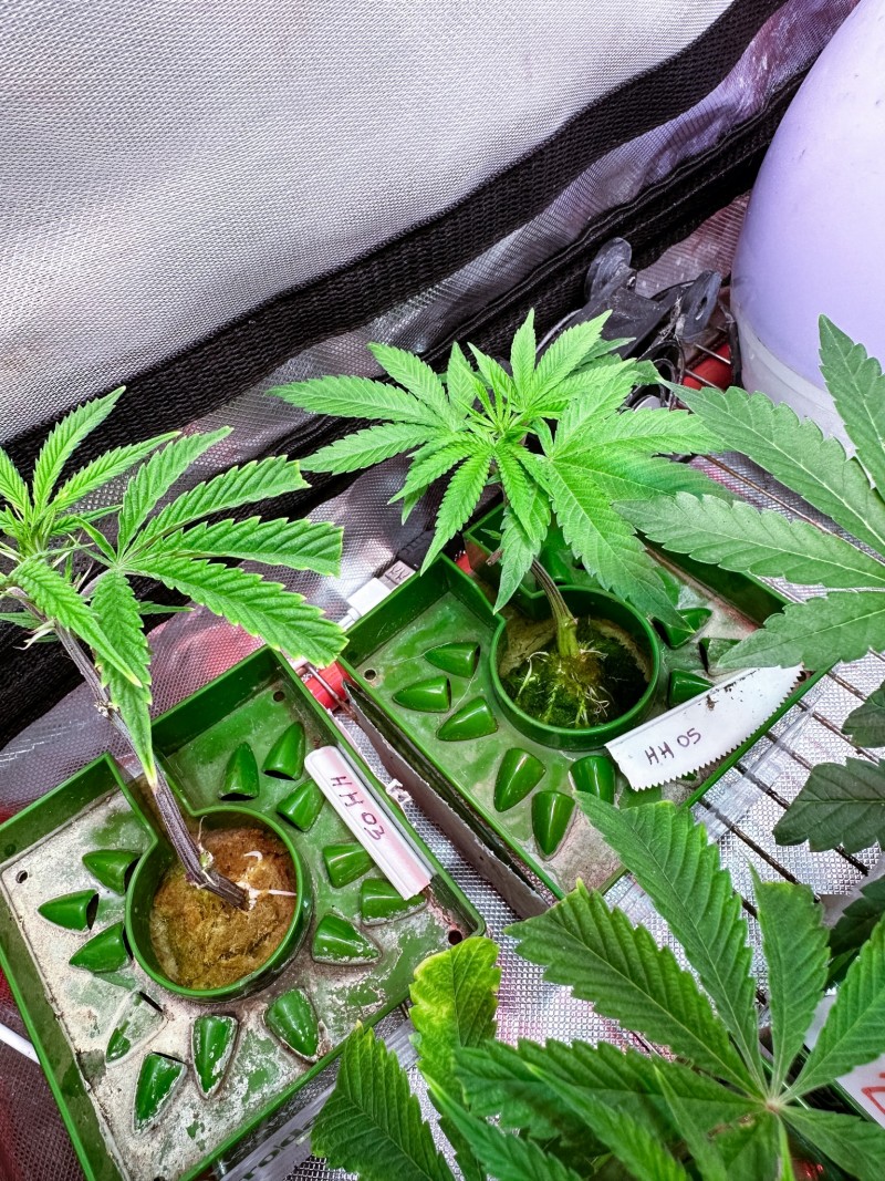 714EE200-5202-438E-A555-CA6C09C2BD47