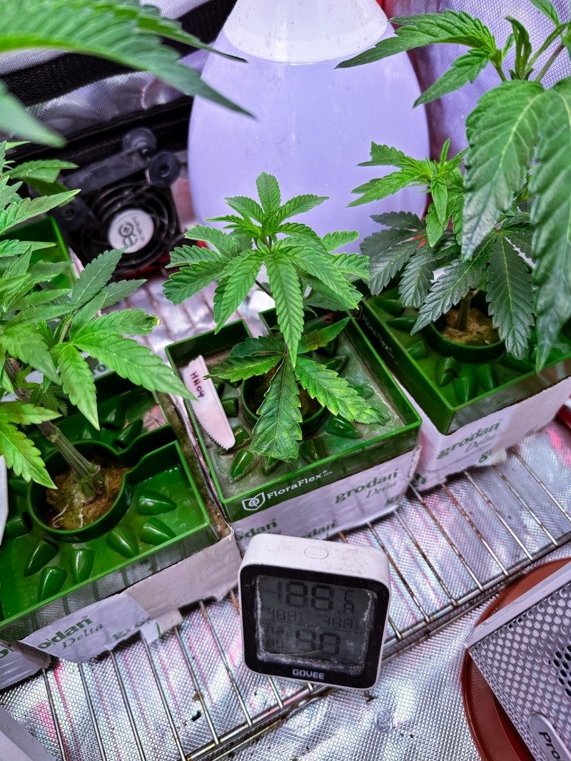 7C2A9872-B1A0-4385-880A-7F9164E9C8B3