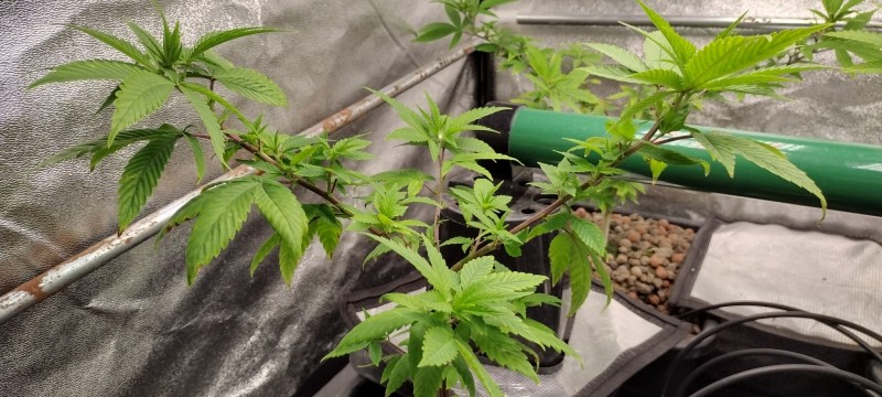 IMG_20221214_165339172_HDR