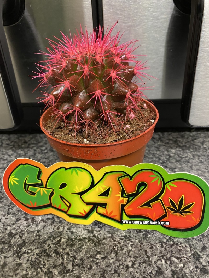 B573C0D2-49FA-4525-BB00-4C0DF9D35278