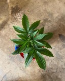 5207A2A3-A38A-4B82-B5F3-BCAE69EE4E91