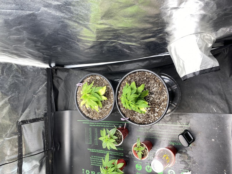 9C8F41B6-F305-41E6-AB83-C66682D05D1F