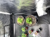 9C8F41B6-F305-41E6-AB83-C66682D05D1F