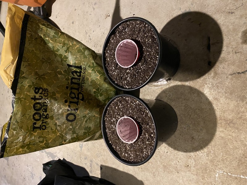 5CCA2DA7-8F3D-4B29-86B8-9C70160DE7E8