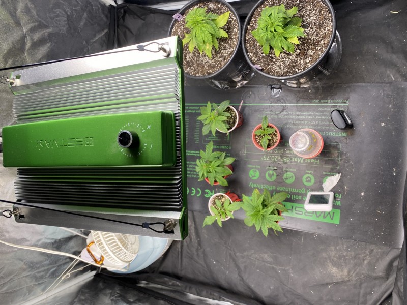 BA9873BB-68BB-4B06-90D6-D11FC49F8BD3