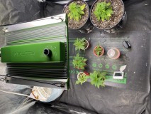 BA9873BB-68BB-4B06-90D6-D11FC49F8BD3