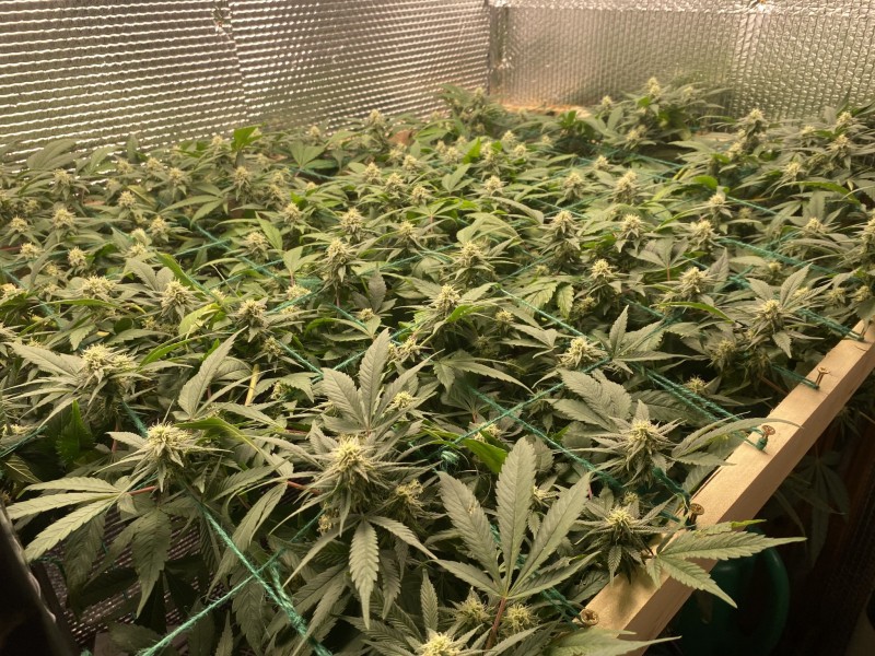 0D982B77-B0BF-47A7-905A-462AAFC53432