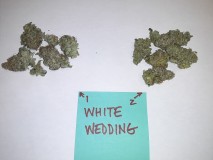 20221218_124707 - Copy