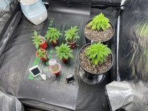 784CCA6E-AE50-422A-93D8-CF3979F002FA