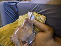 8E9F2471-EF83-46AC-82EB-23A9EE928D0D