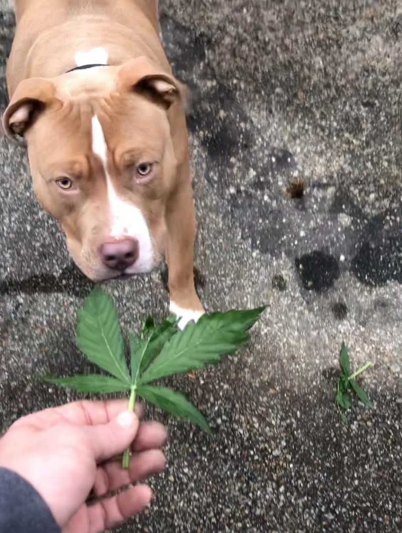 23EB3D7C-34F0-44F5-AF38-3A1B011ADDF0