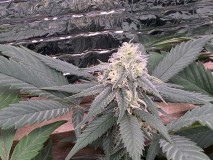 F30B1F19-6580-488B-BFEA-FFB4080060CF