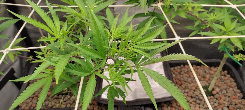 IMG_20221221_162932136_HDR