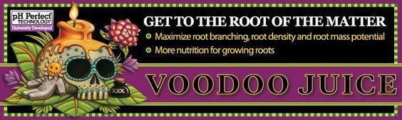 ce8e0eb408f9bffbd0c423867820fbad