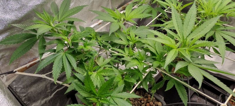 IMG_20221223_185957337_HDR