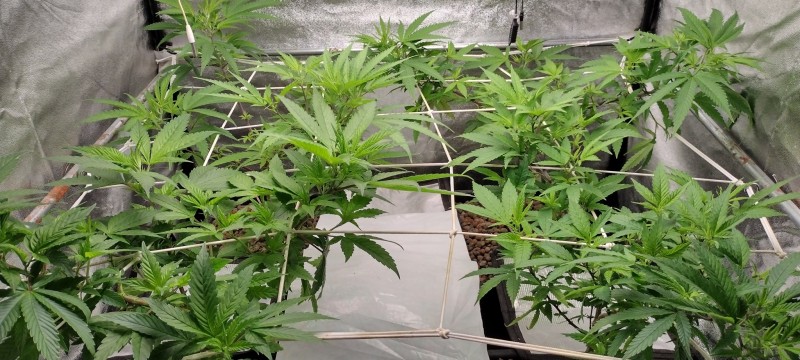 IMG_20221223_185352060_HDR