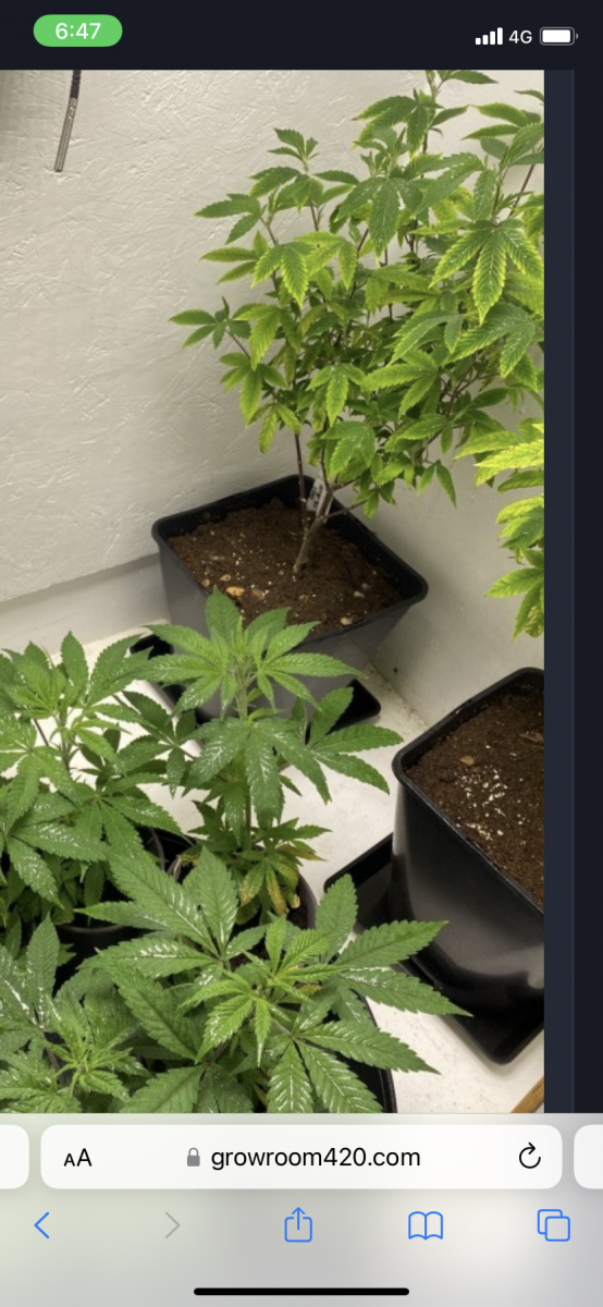 C8EE8CE9-C8B4-4821-865B-E4DEE7C434A9