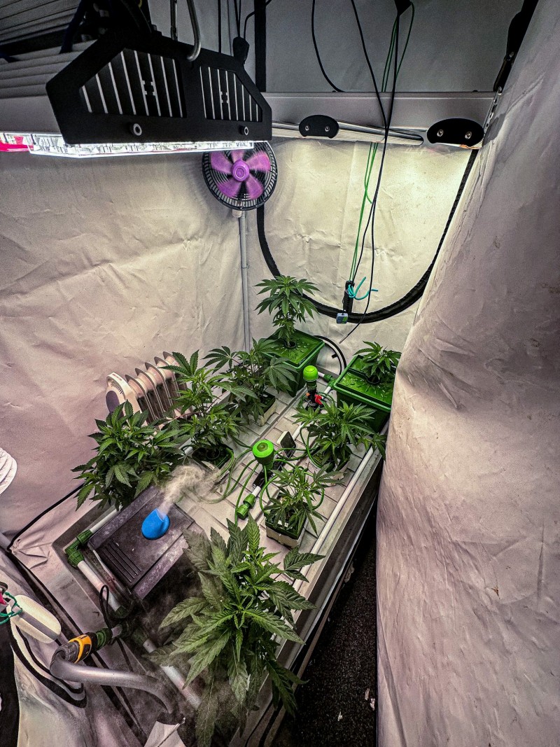 7541902D-9111-44E4-A125-95FF0388A28B