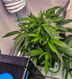 558D6F02-1B8A-473D-8272-7B455B9ABEEF