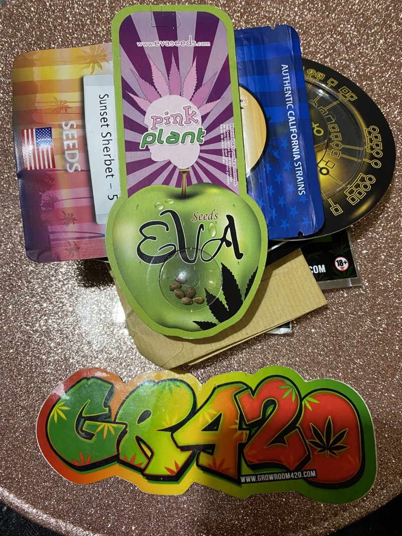 A94F86CA-E23B-4F06-B02E-0A6DF48CF3A9