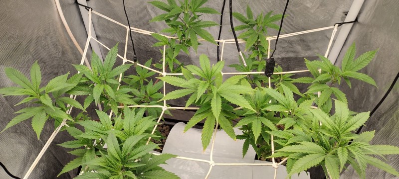 IMG_20221229_121218139_HDR