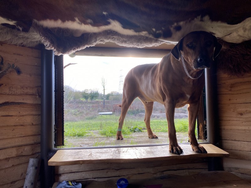 F009F6B9-1029-4C12-9F53-94294746A97C