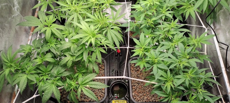 IMG_20221229_202932648_HDR