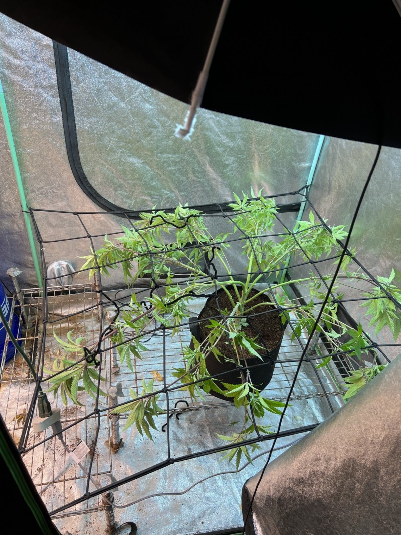 F92BB748-78E3-485E-B61E-AF258F148143