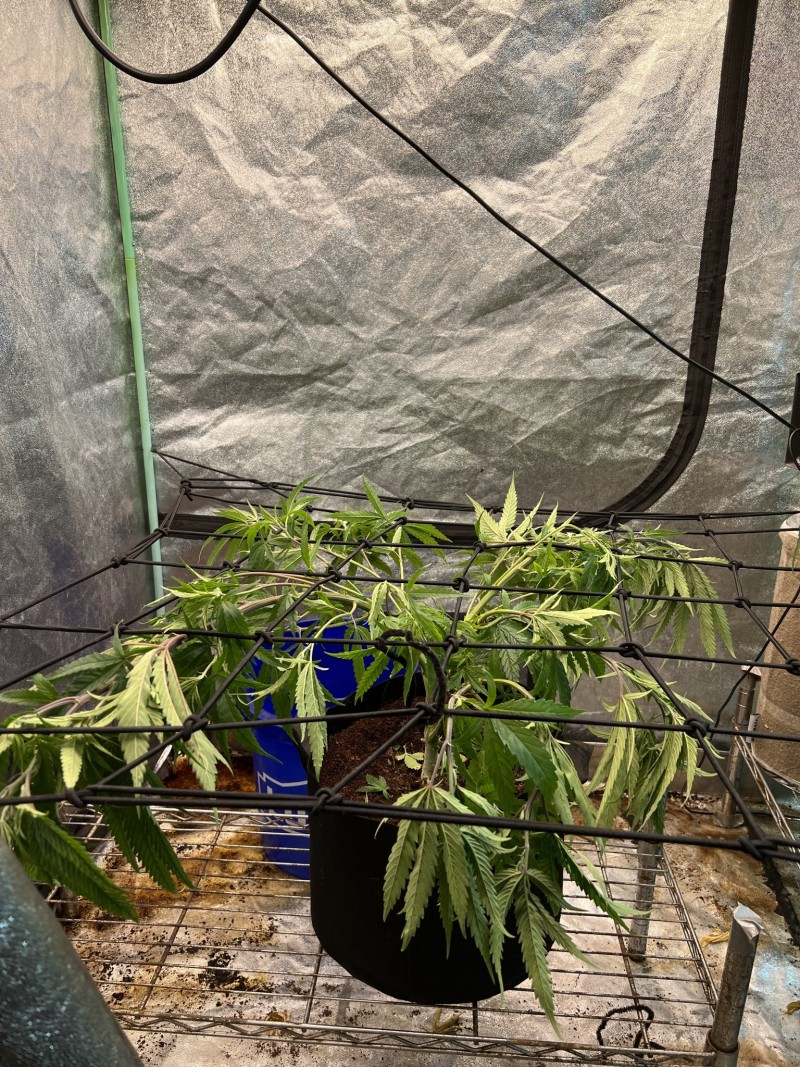 ABA2907D-B47D-401E-B25A-41943D36CCAE