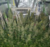 IMG_20180706_210103_663