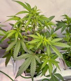 05147E00-1DBA-42E4-8C30-CA4297E8D24A