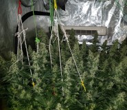 IMG_20180706_212512_264