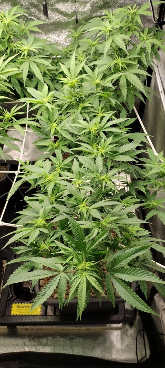 IMG_20230104_195519693_HDR