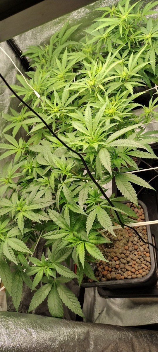 IMG_20230104_195544439_HDR