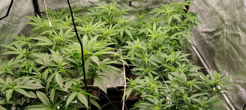 IMG_20230104_195614630_HDR