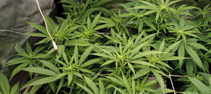 IMG_20230104_195942384_HDR