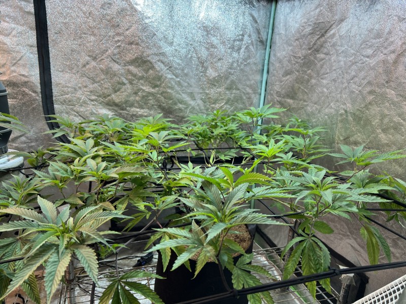 F4EC9DA3-62DD-4FC3-977F-88ABC7B9EBFE